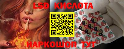 эйфоретик Нальчик