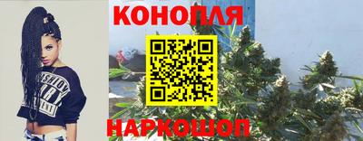 крисы Нарткала