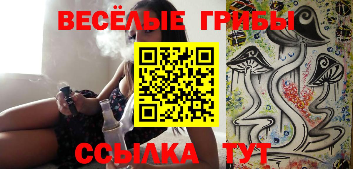 Псилоцибиновые грибы GOLDEN TEACHER  Вход с VPN  Галлюциногенные грибы мухоморы  Улан-Удэ 